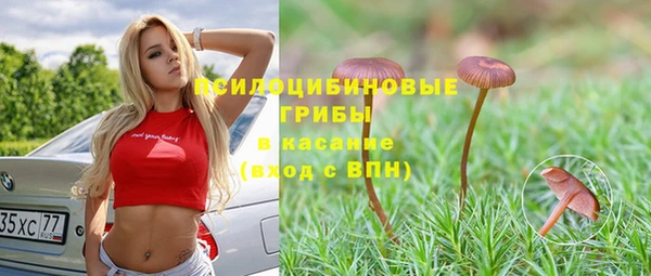 трава Богданович