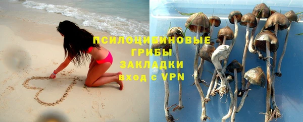 jwh Богородицк