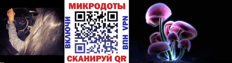 Галлюциногенные грибы Cubensis  закладка  маркетплейс Telegram  Мурино 